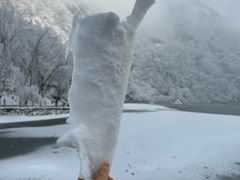 -秦岭终南山世界地质公园翠华山景区