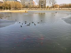 -中国农业博物馆