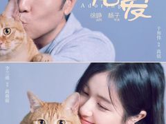 -万达影城(碧湖万达广场激光IMAX店)