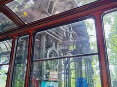 -合肥滨湖国家森林公园