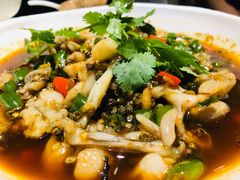 馋嘴蛙仔-尘香•传统川菜(创汇首座店)