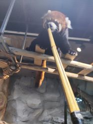 -Zoolung Zoolung动物主题公园(海信广场店)