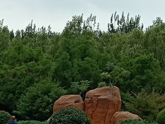 -森林公园(尖草坪区)