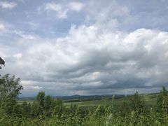 -御道口草原森林风景区