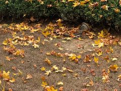-西安交通大学第一附属医院(总院)