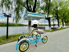 -北陵公园