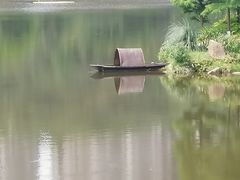 -重庆彩云湖湿地公园