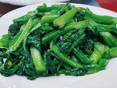 炒菜心-哈尔滨阳光饺子园(阳光花园店)