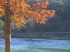 -楠溪江风景名胜区