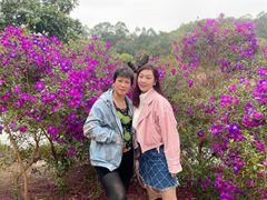 -南国桃园旅游度假区