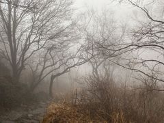 -阳台山自然风景区