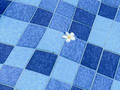 -佰园全日西餐厅-厦门佰翔软件园酒店