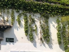 -日出青木·杭帮菜名店