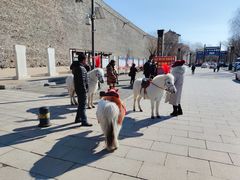 -山海关清和浑锅店