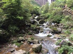 iphone_upload_pic-重庆武隆天生三桥风景区-神鹰天坑