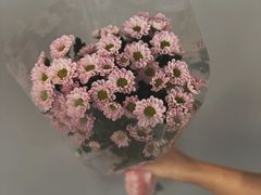 -格蕾花坊(民盈·国贸城店)