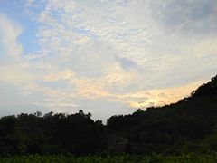 -火炉山森林公园
