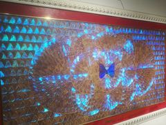 -上海昆虫博物馆