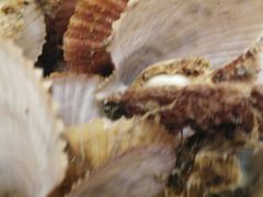 -北方饺子王·海肠捞饭·海鲜锅(山大店)