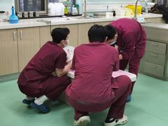 -北京观赏动物医院·24小时大型综合·猫专科·异宠专科