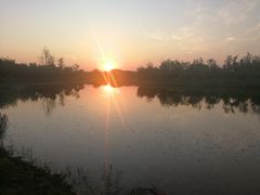 -东郊湿地公园