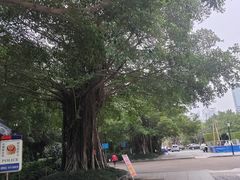 -南宁南湖公园