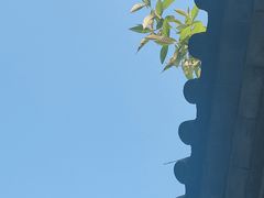 -腾冲云峰山