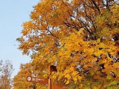 -北京园博大酒店