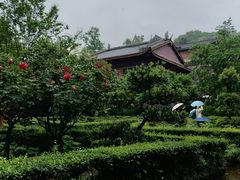 -峨眉山报国寺