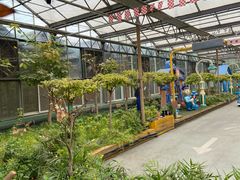 -南宫五洲植物乐园