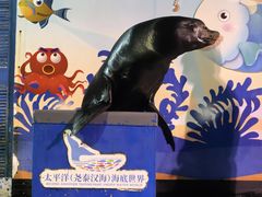 -太平洋海底世界