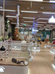 -小象动悟公园(龙湖亦庄天街店)