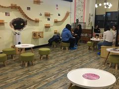 大堂-喵匠猫主题咖啡(凯德和平广场店)