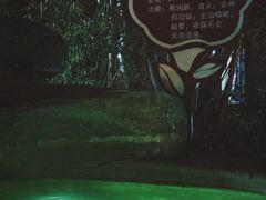-大理地热国