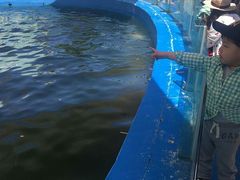 -北戴河圣蓝海洋公园