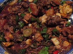 -俭寨大盘鸡·新疆菜·烧烤(博乐店)