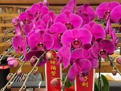 -鸽子刘铁锅炖鱼(劲松店)