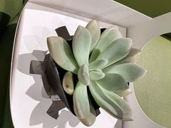 -四季餐厅·新津菜(环湖中路店)