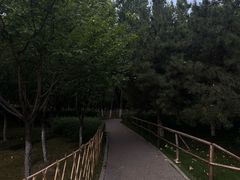 -西安世博园