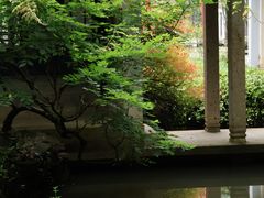 -兰亭风景区