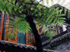 -鱼桥巷·美学川菜