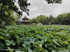 -莲池书院博物馆