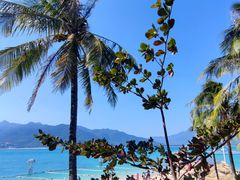 -海南分界洲岛旅游区