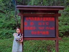 -牛背梁国家森林公园