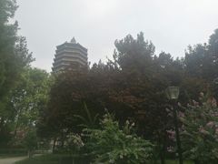 -玲珑塔公园