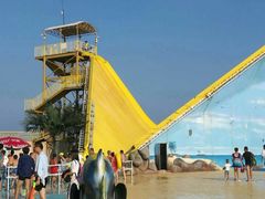 -秦皇岛乐岛海洋王国