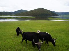 -迪庆藏族自治州博物馆