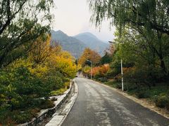 -北京鹫峰国家森林公园