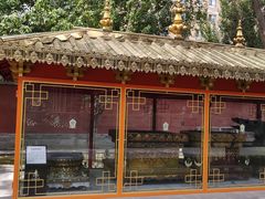 -护国法轮寺