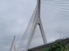 -大渡口区义渡公园